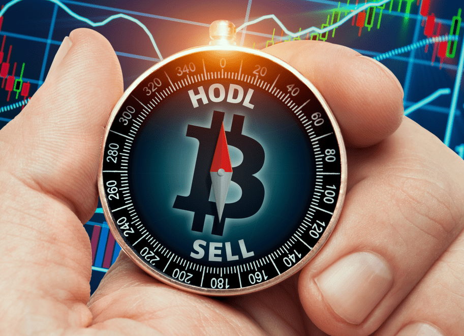 What Is HODL Meaning In Crypto World You Should Know